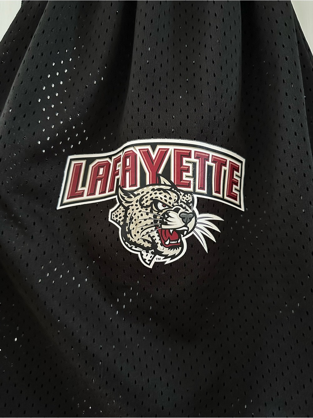 Lafayette College Drawstring Backpack ❤️ - Picture 2 of 2